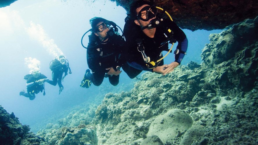 1 Tag Tauchen in Hurghada | 2 Tauchgänge verschiedenen Orten