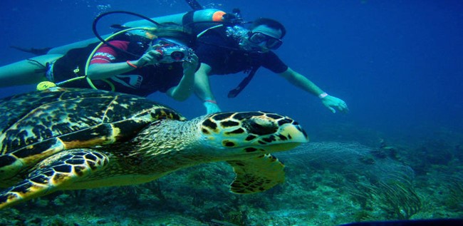 Schnuppertauchen in Hurghada 