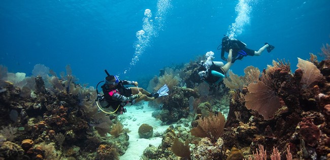 PADI Divemaster Kurs in Hurghada