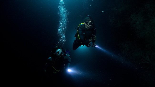 Night Diver Spezialkurs in Hurghada